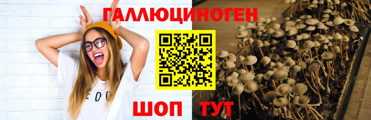 Псилоцибиновые грибы Cubensis  Вход с VPN  где купить наркоту  Лесозаводск 